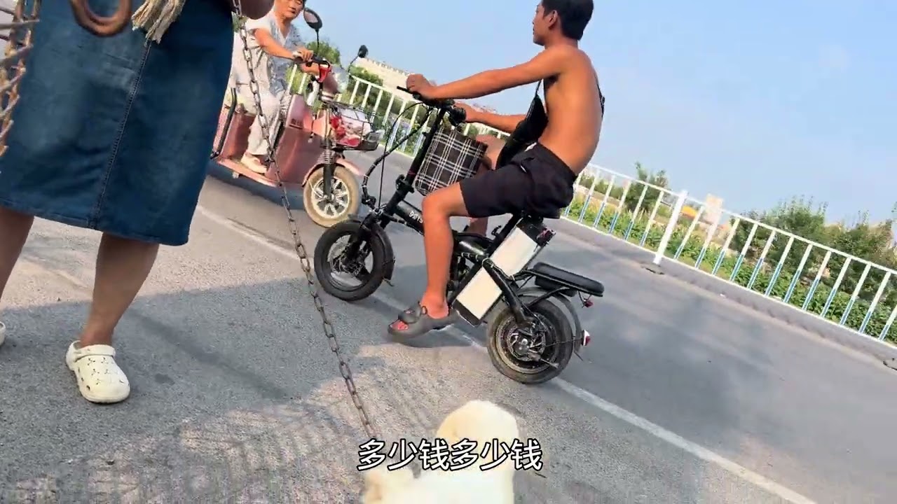狗市之旅 成年犬交易，上夹子
