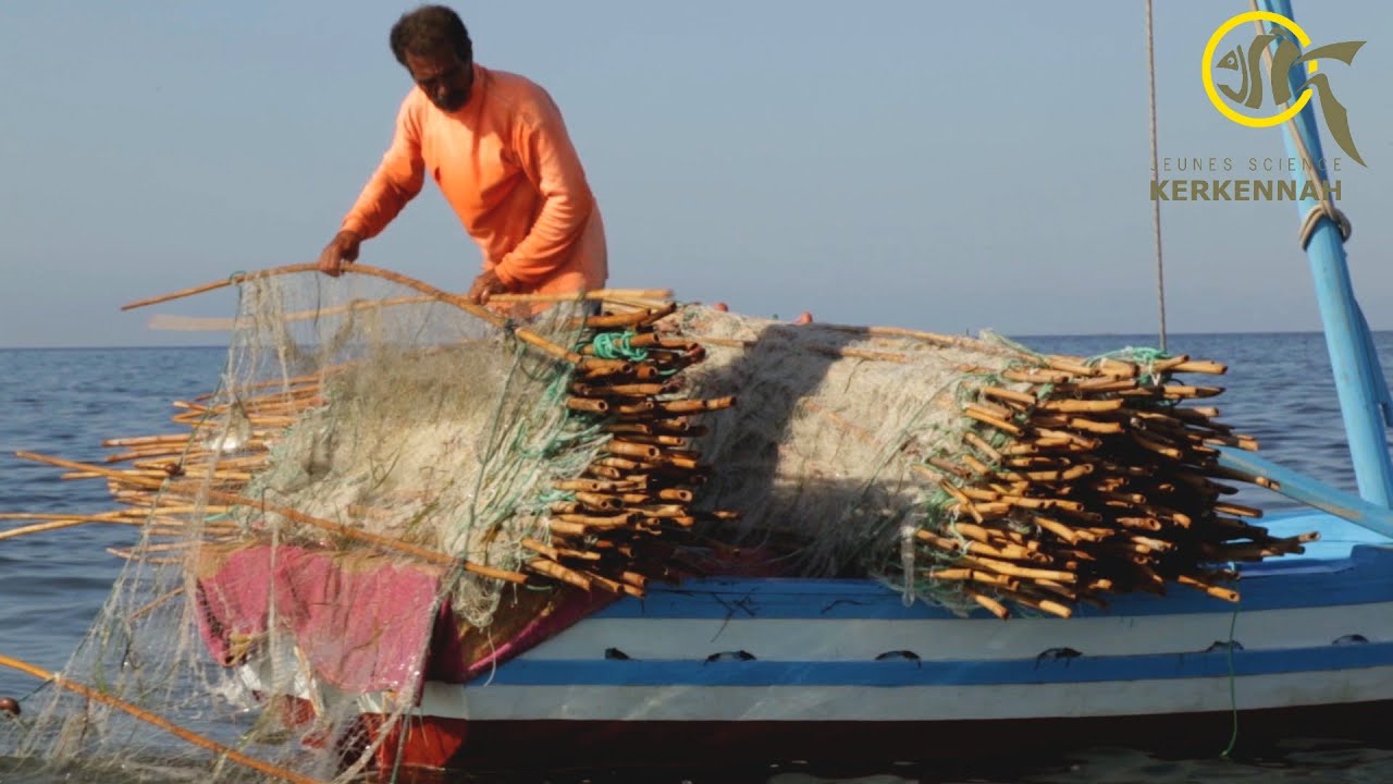 La pêche artisanale aux îles Kerkennah (version courte)