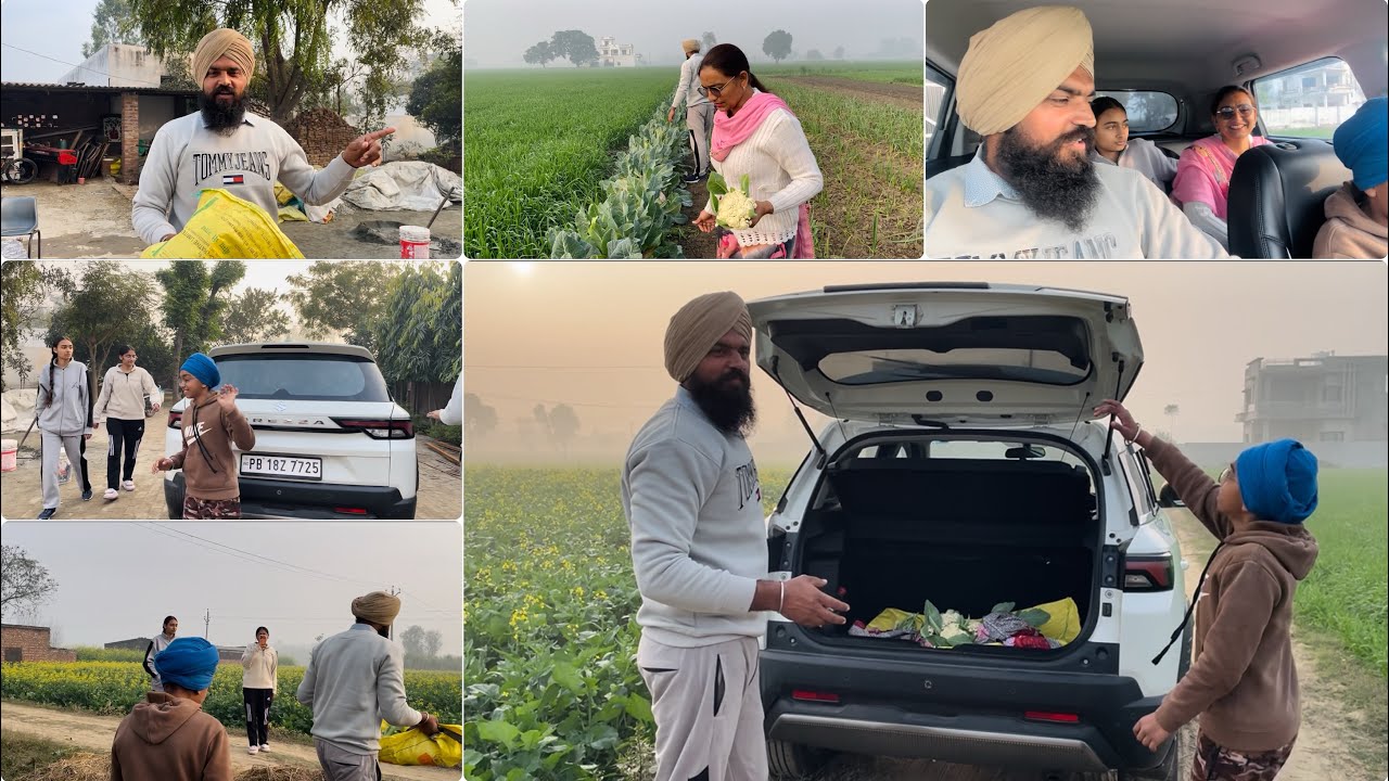 ਸਬਜ਼ੀ ਦਾ ਬਦਲਾ ਸਬਜ਼ੀ 😃 sabji da badla sabji 😊 सब्जी का बदला सब्जी