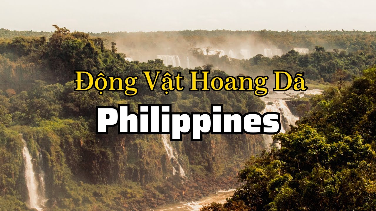 Khám Phá Philippines | Đất Nước Ngàn Đảo và Kẻ Thống Trị Rừng Rậm