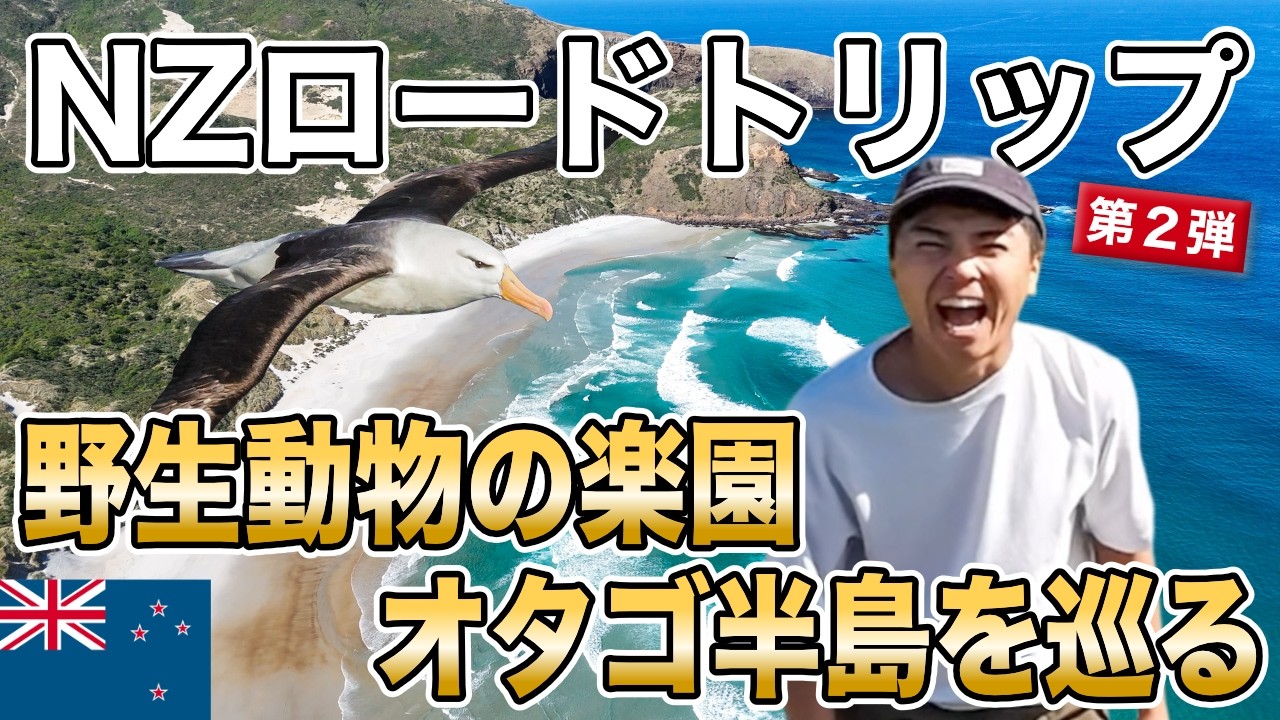 NZ南島のダニーデンで世界一急な坂＆野生動物の楽園オタゴ半島を巡る！｜ニュージーランド南島ロードトリップDay3