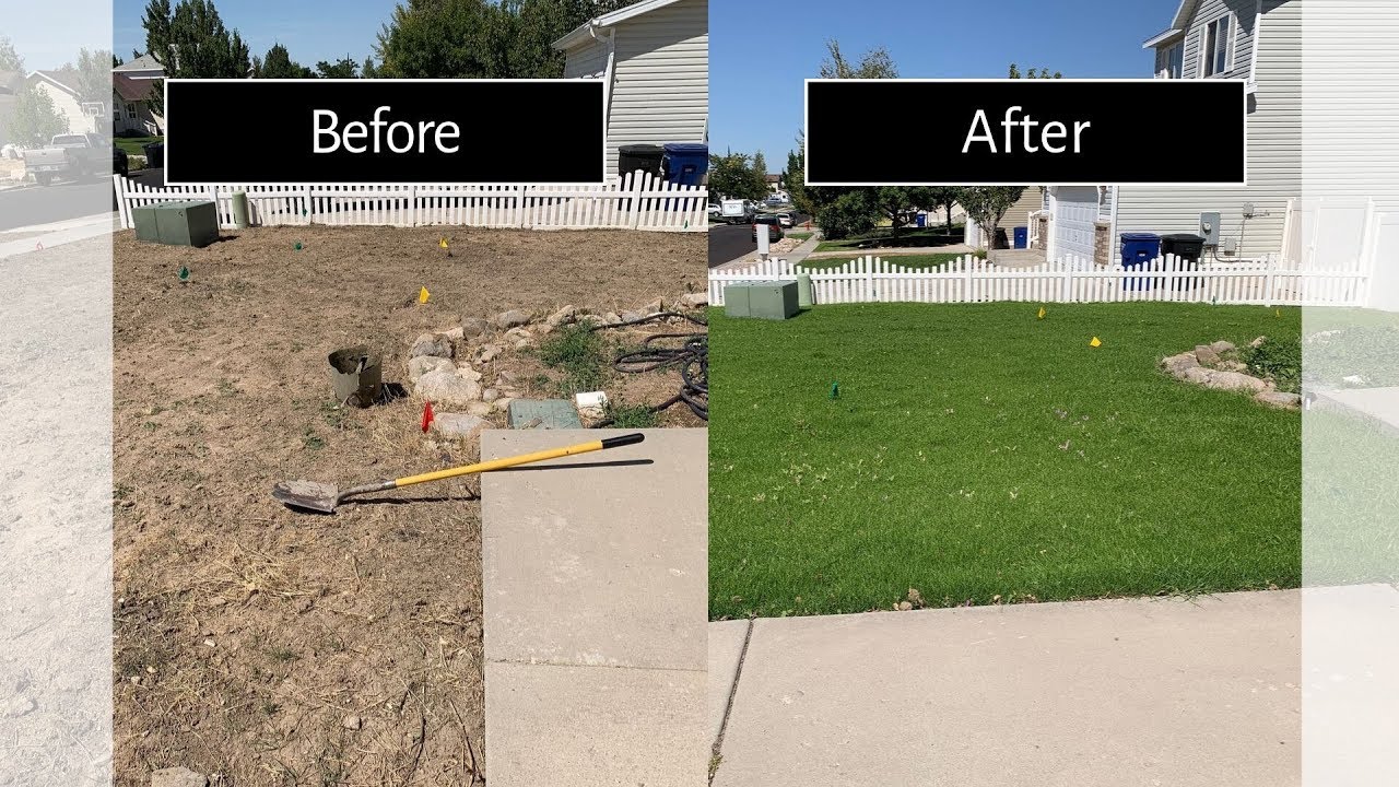 How To Plant Grass Seed FAST     SUMMER / FALL over seeding Lawn renovation (part 1 of 2)