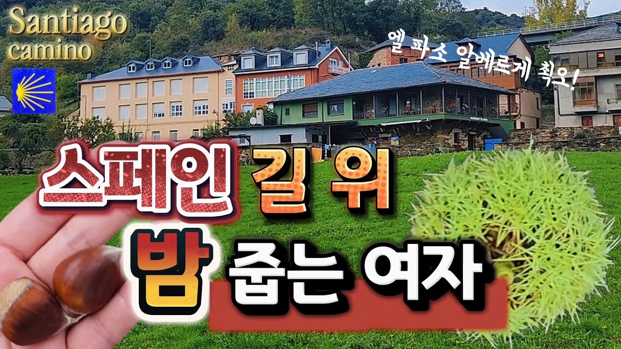 50대 나홀로 순례길🇪🇦 Ep.27~28 폰페라다~베가데 발카르세/🌰스페인 길 위에서 밤 주워 먹는 재미/엘파소 힐링 알베르게 강추👍/스페인 하숙 촬영지 아쉽아쉽