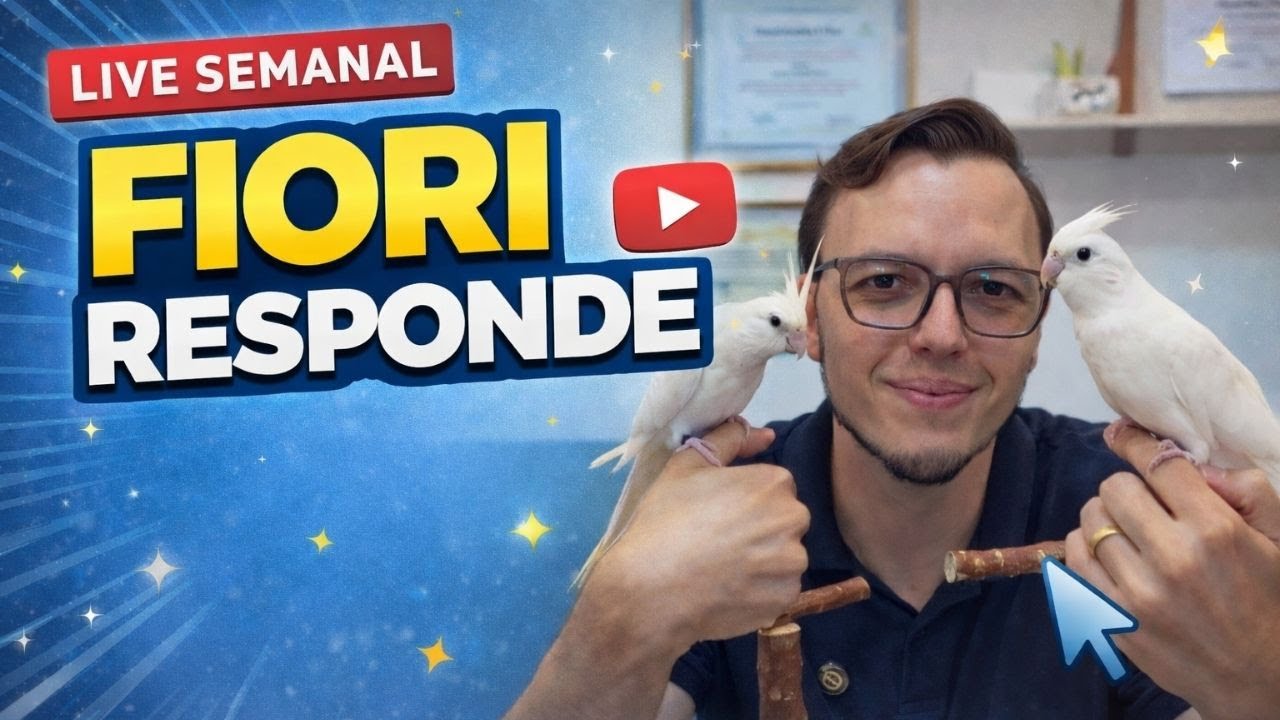 FIORI RESPONDE - 11/02
