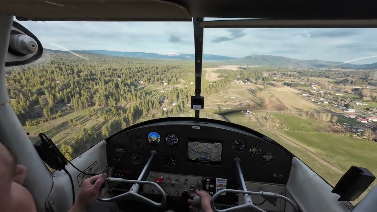 Elk on the runway at Cle Elum, WA S93
