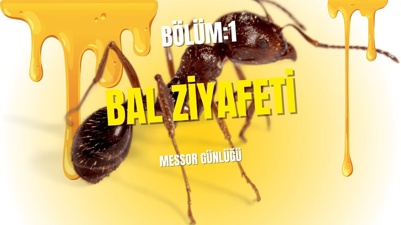 Messor Günlüğü: Bölüm 1 | Bal Ziyafeti 🍯