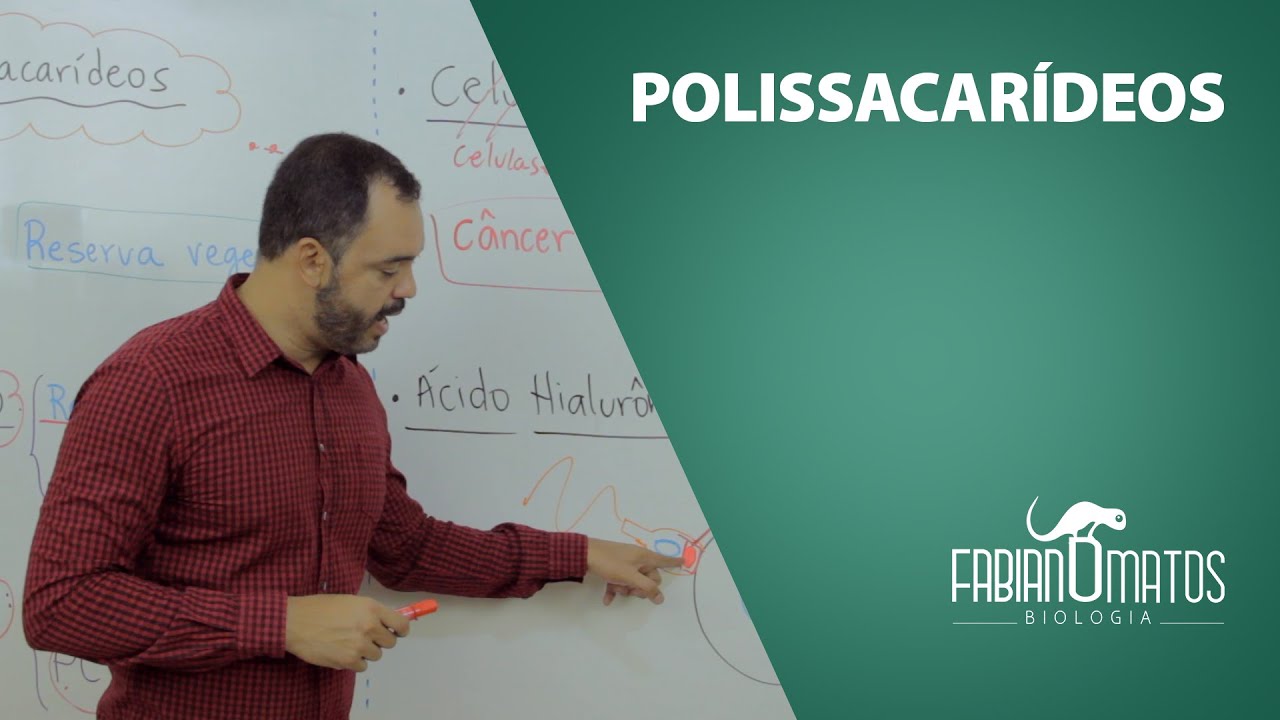 Polissacarídeos - Fabiano Matos