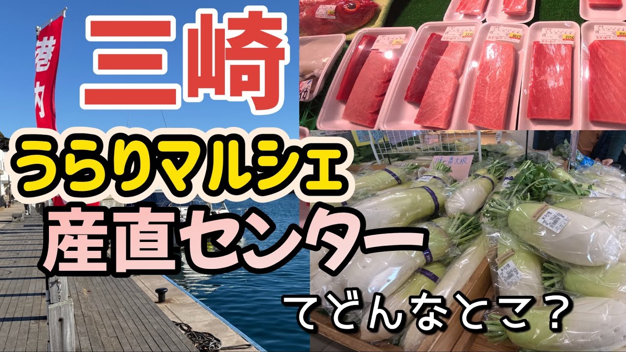 三崎まぐろ【うらりマルシェ】産直センター