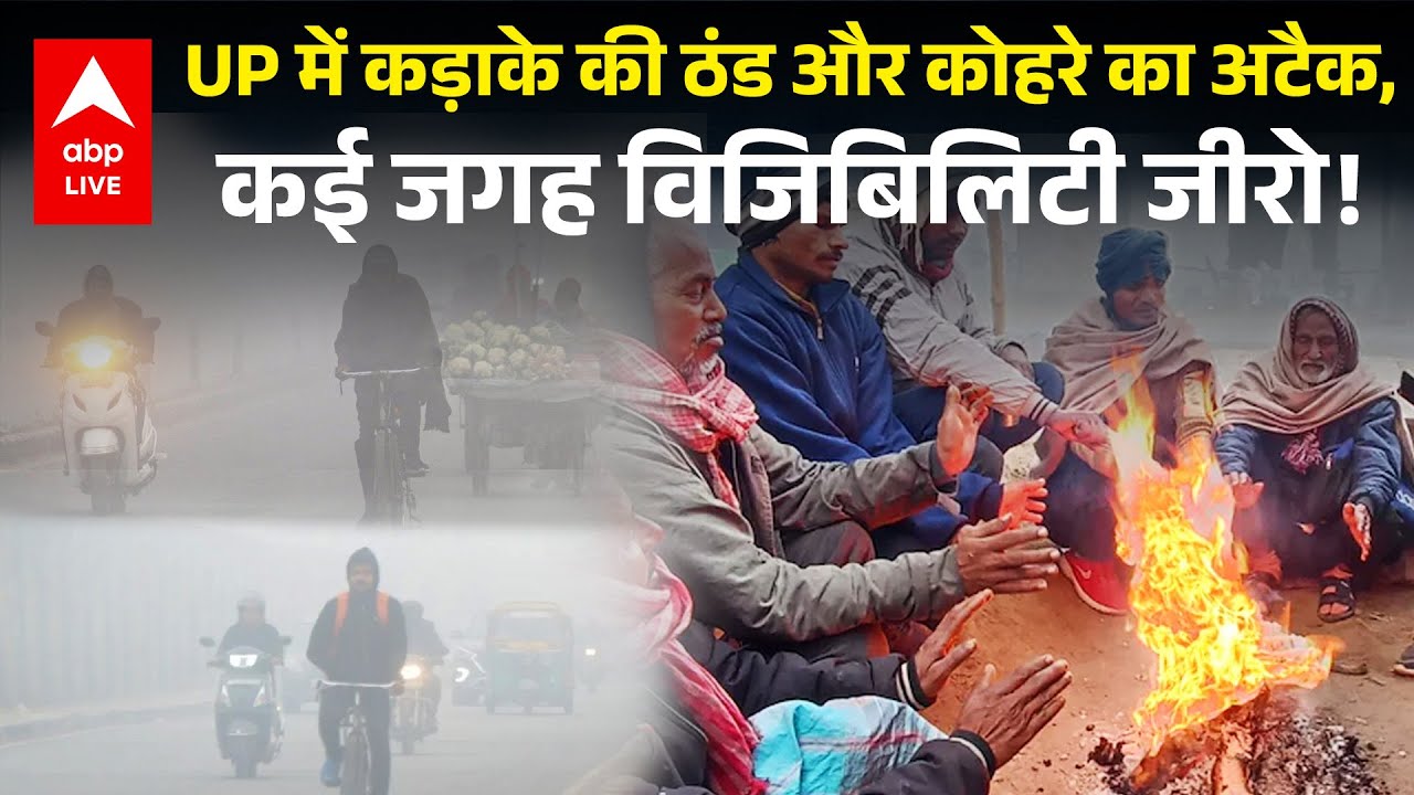 WEATHER UPDATE: UP  में कड़ाके की ठंड और कोहरे का अटैक, कई जगह विजिबिलिटी जीरो! | ABPLIVE
