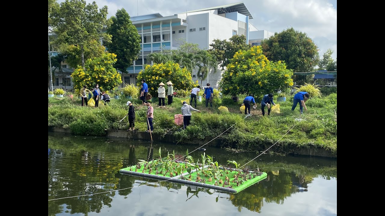 Transforming Urban Water Treatment: Exploring Constructed Floating Wetlands