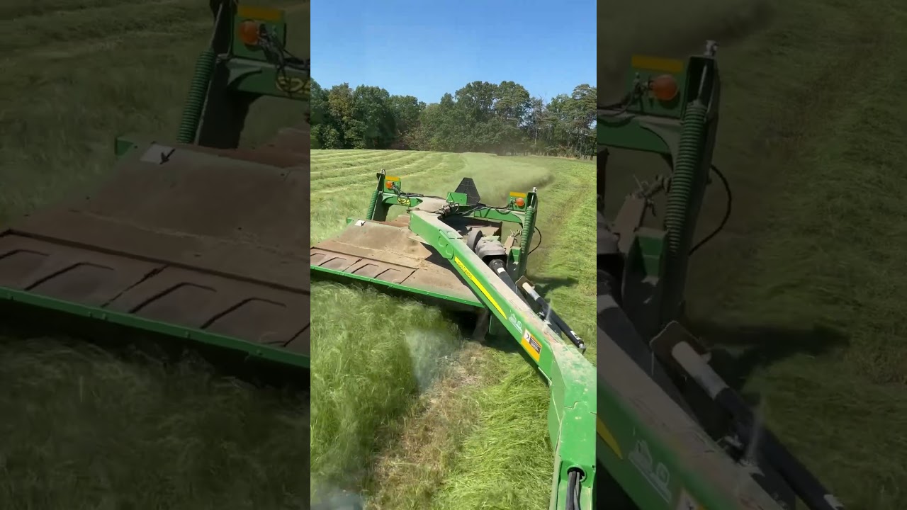 Knocking down some Teff on 10/1/23.