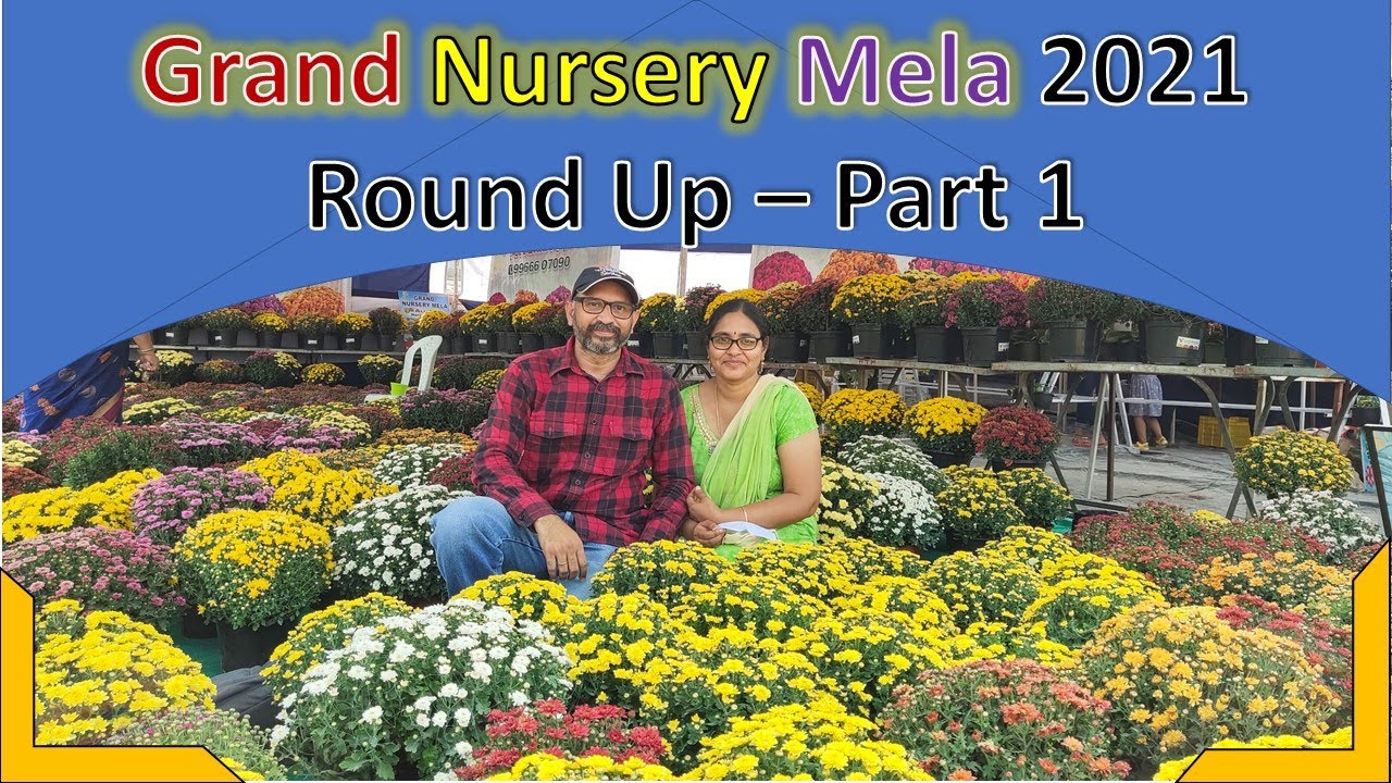 Grand Nursery Mela, Hyderabad, 2021,  - Quick Round Up - Part 1