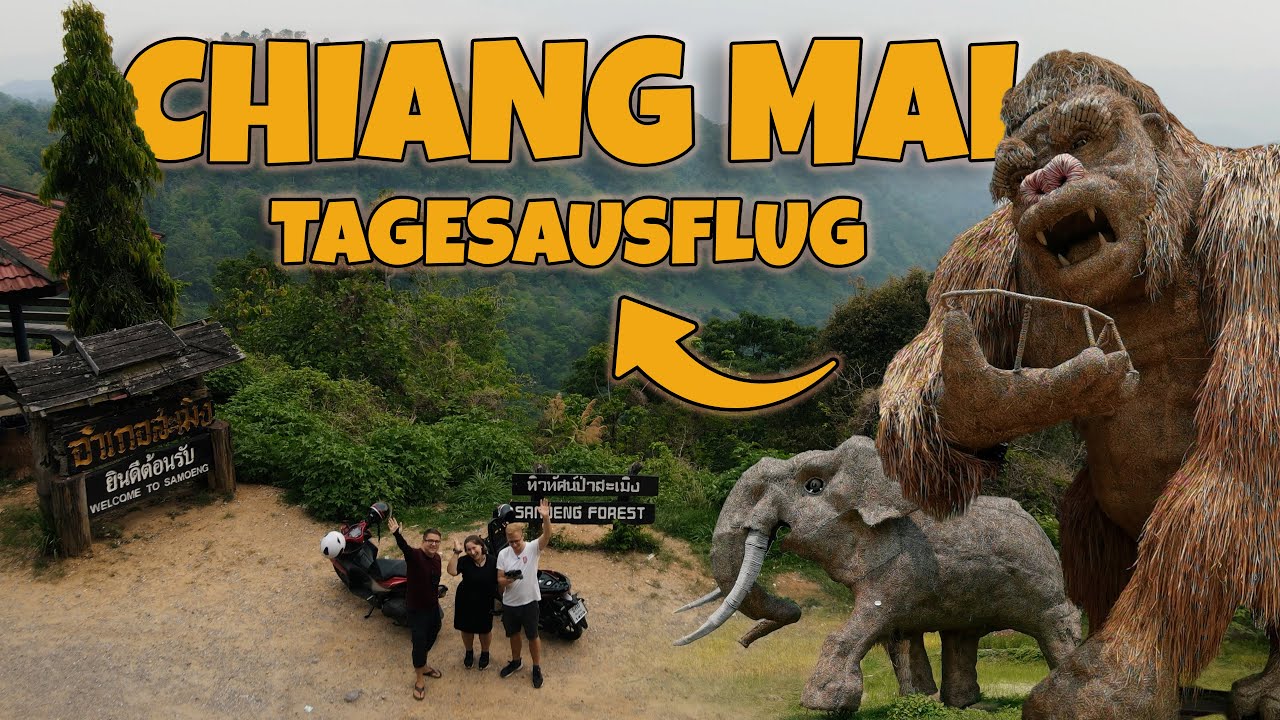 Der ULTIMATIVE Tagesausflug in CHIANG MAI 😍 | Mit  @BauchgesteuertTV 📺