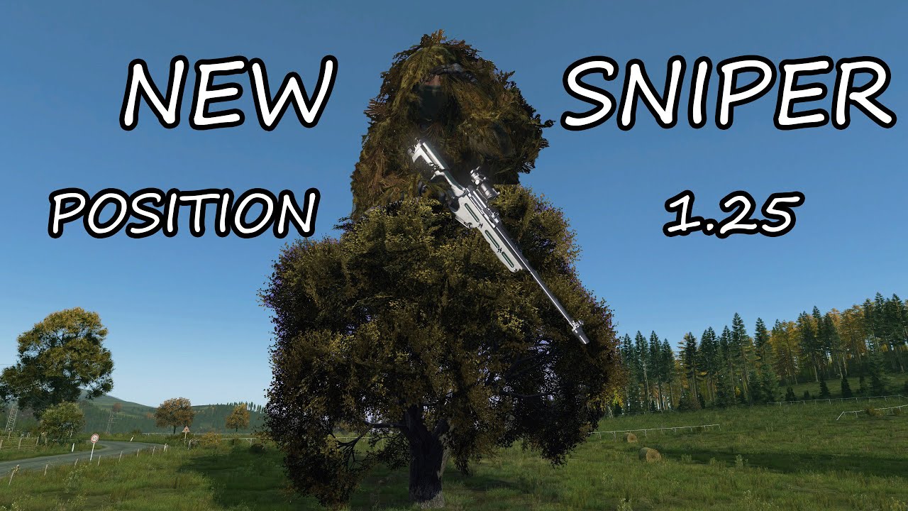 NEW SNIPER POSITION IN DAYZ 1.25 ! 1440p #dayz