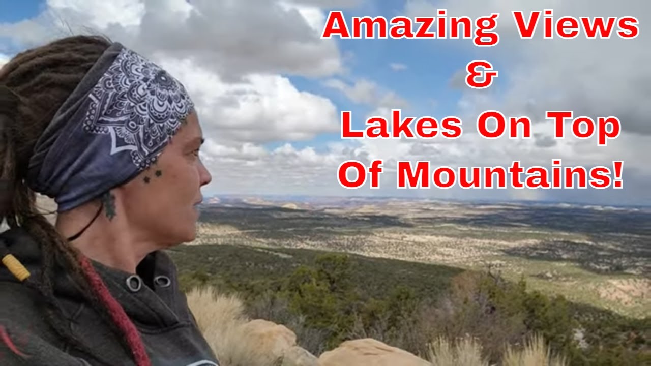 Manti-La Sal National Forest - Highly suggest exploring this area!