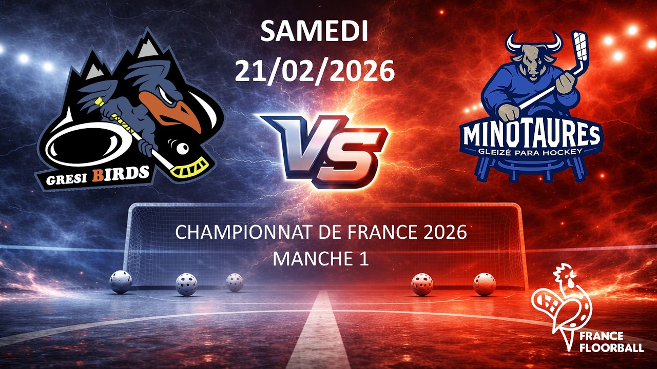 Tournoi des herbiers : Gresibirds Vs Les Minotaures