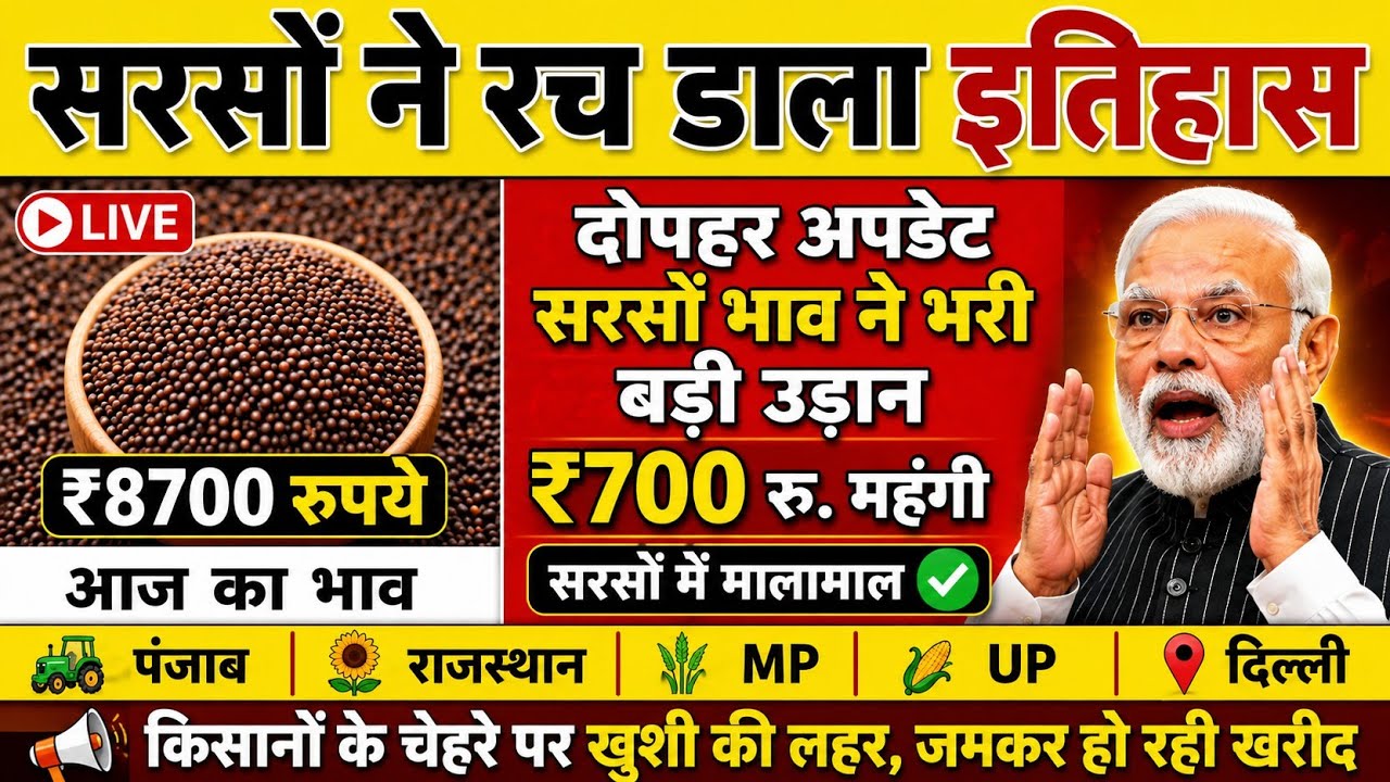 🚀 Mustard makes history | Afternoon Update: Mustard prices soar | Mustard becomes more expensive ...