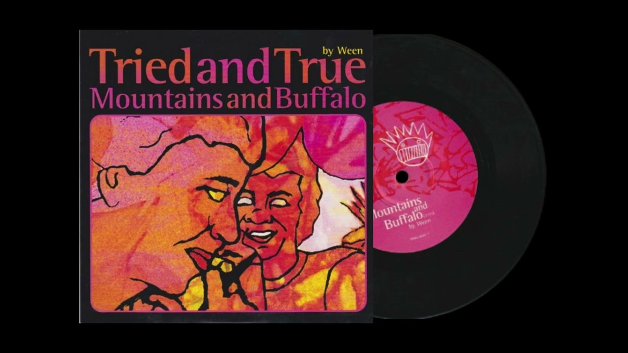 Ween - Mountains and Buffalo (7