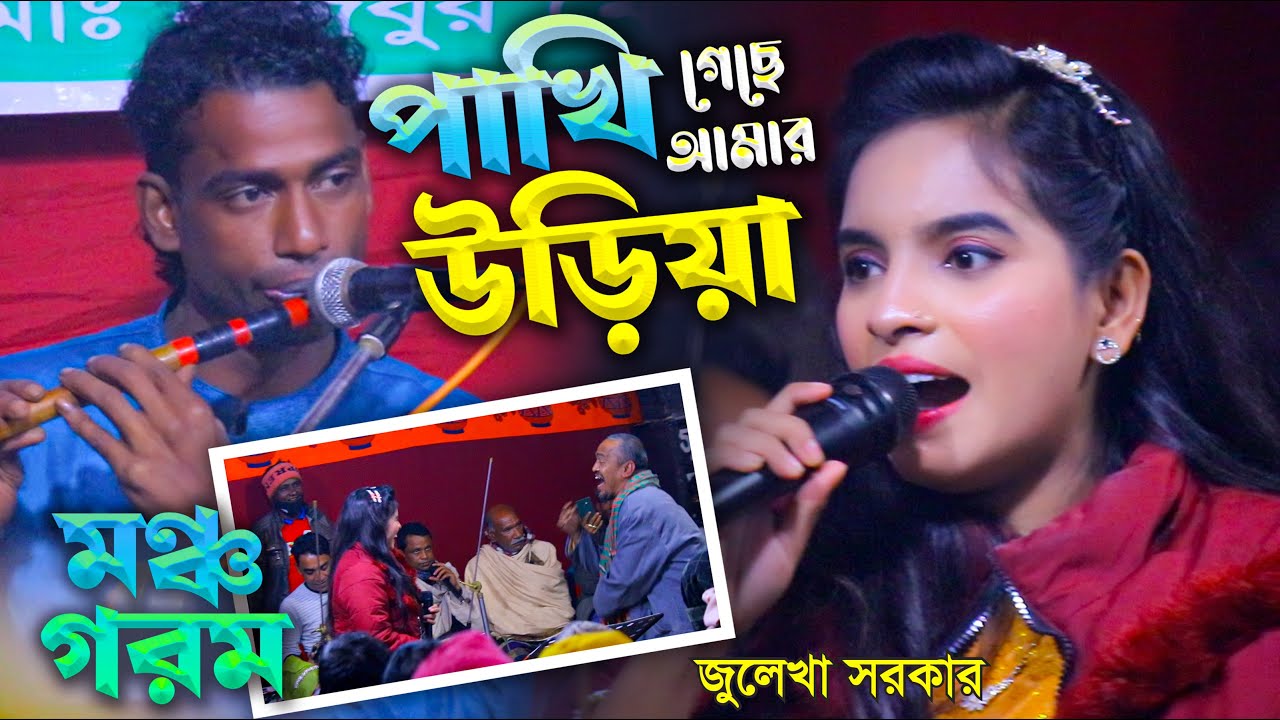 জুলেখা সরকারের বিচ্ছেদ গান । পাখি গেছে আমার উড়িয়া । julekha sorkar new song 2024 । Nova Music Zone