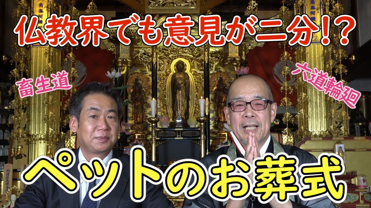 【お坊さんの窓口】仏教の教えとペット供養【浄土宗 専念寺 松谷宗悦】