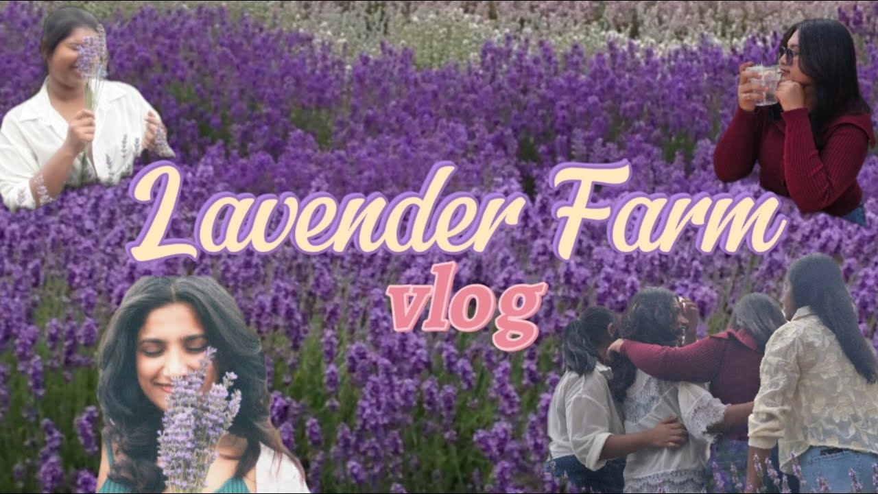 Lavender Farm Adelaide | Ft. Alka | Fun Day