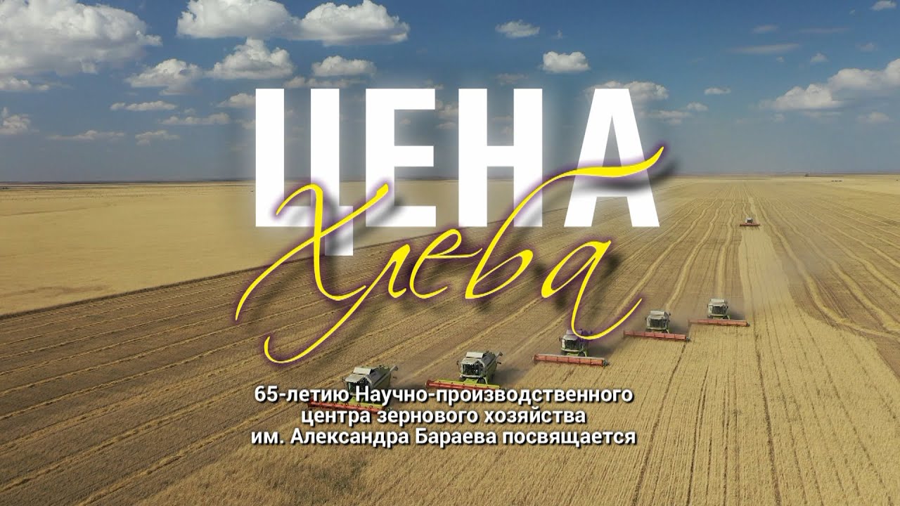 Видеофильм 