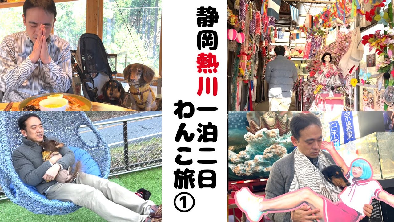 【犬連れ旅行静岡熱川観光】カオスの中に昭和を感じる「まぼろし博覧会」さんに潜入「アクトリーカフェ」さんでランチもしたよ～ 1泊2日わんこ旅1/3 2024.1