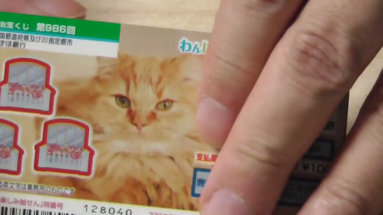 本日発売のスクラッチ20枚買ってきたので削ります「わんにゃんスクラッチ　マンチカン４ハッピーバルコニー」（第986回全国）2023年12月23日