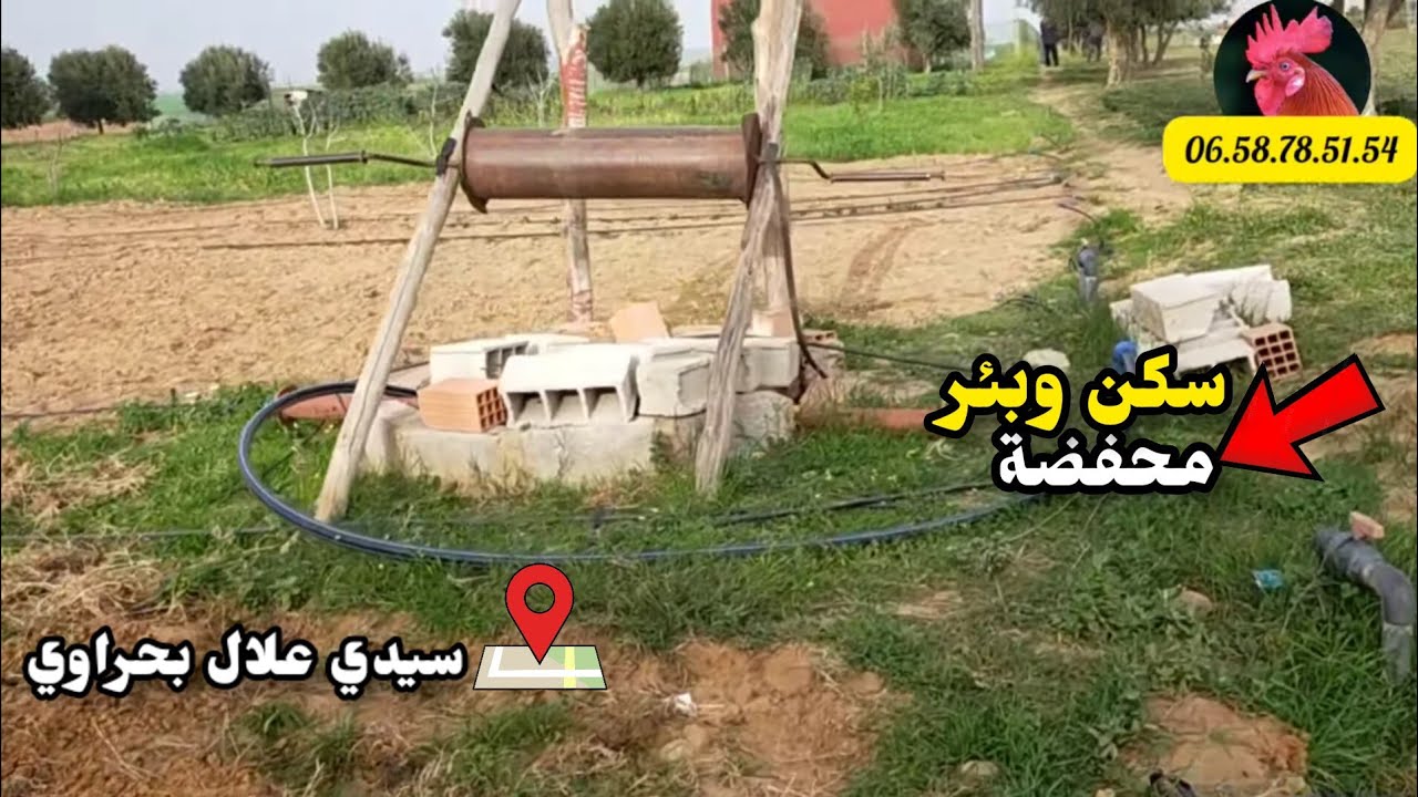 أرض فلاحية🌾 محفظة فيها بئر وسكن نواحي سيدي علال بحراوي- عين جوهرة ثمن 46 مليون.