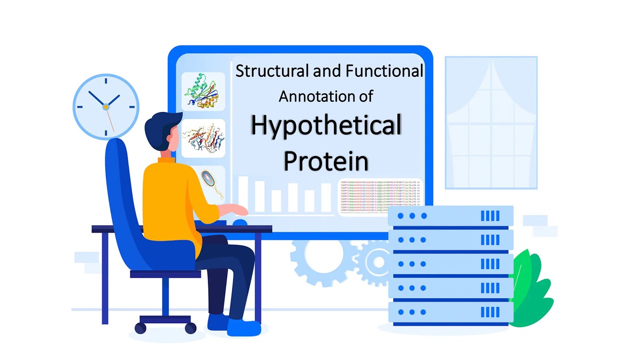 In Silico Structural and Functional Annotation of Hypothetical Protein Full Project| Bangla Tutorial