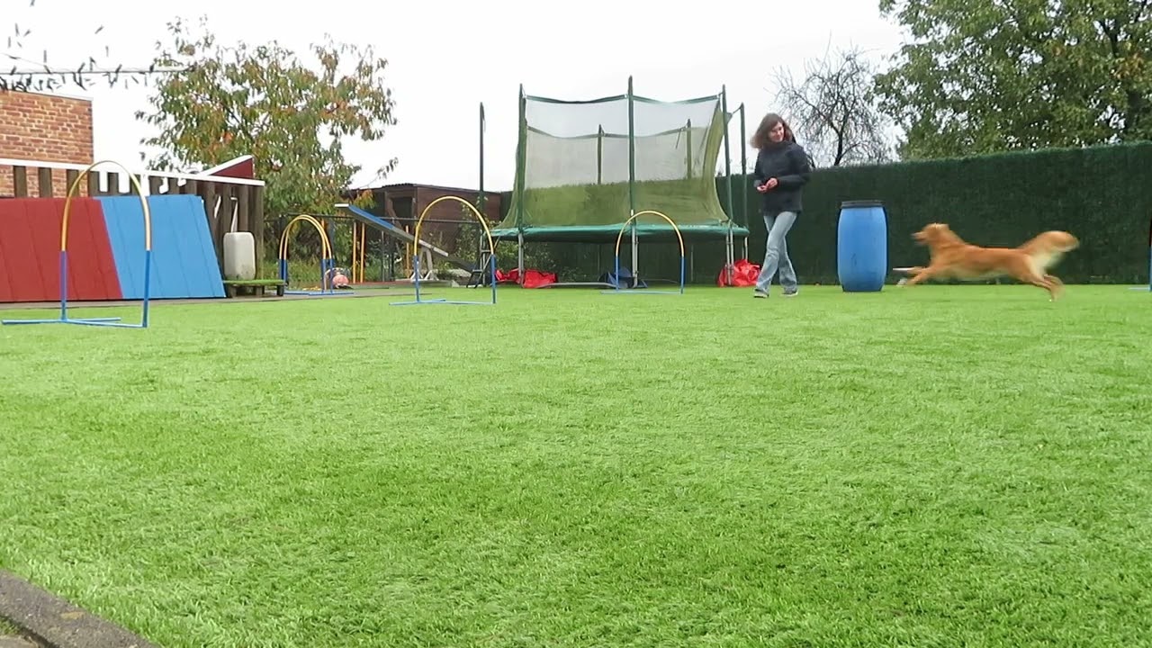 Hoopers taak 2 : Lenne L vorm