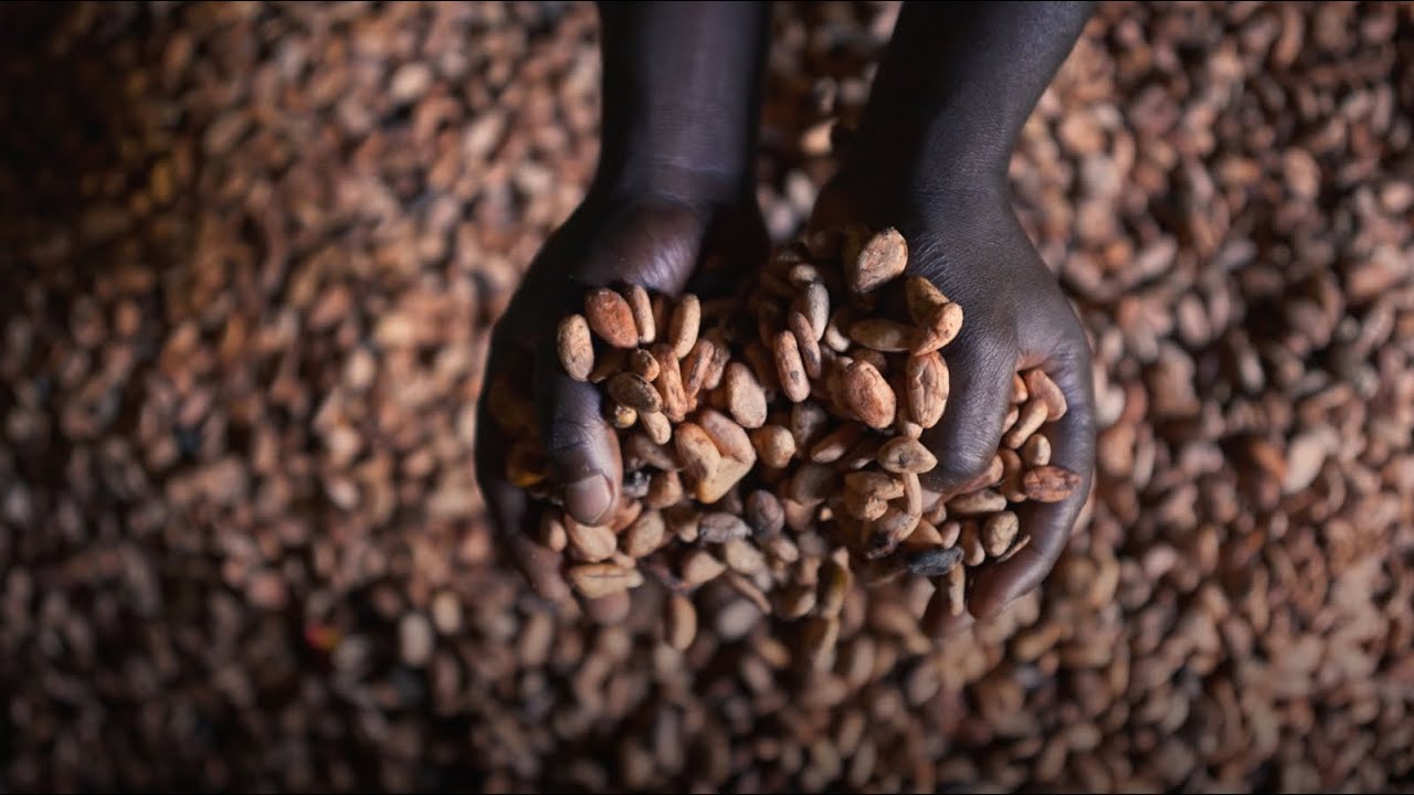 Tackling Food Security with Tech — Accenture Employees' Innovative Idea