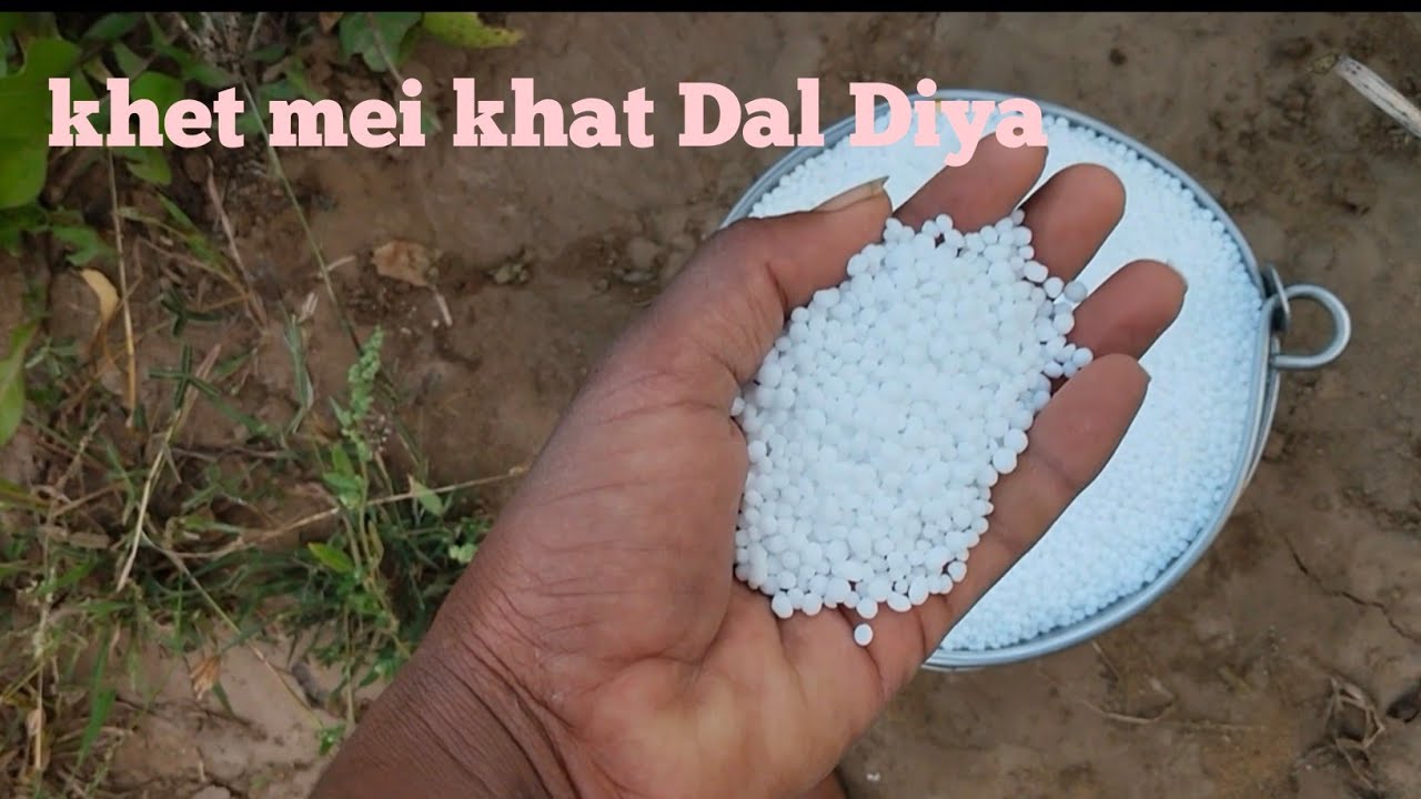 Khetar mein Pani Aagay 