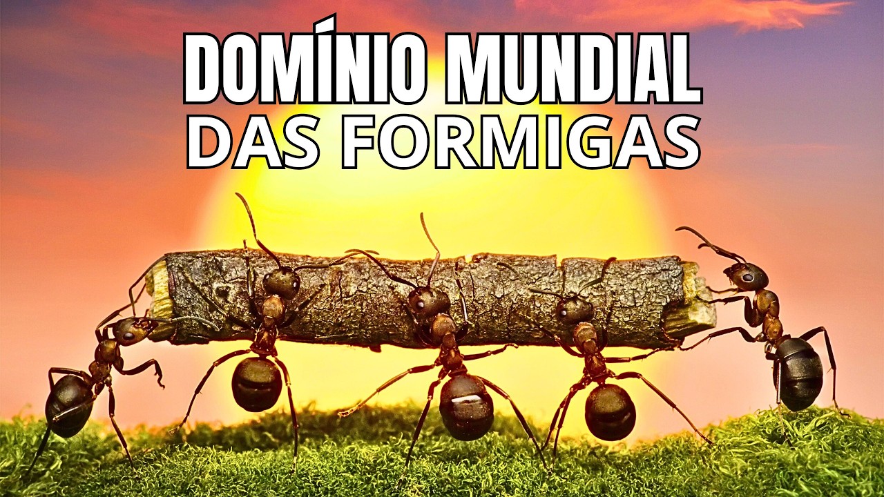 A Ascensão das Formigas | Mestres da Organização e Sobrevivência