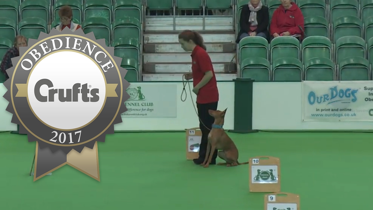 Obedience - Inter-Regional Rally Level 2 - Part 4 | Crufts 2017