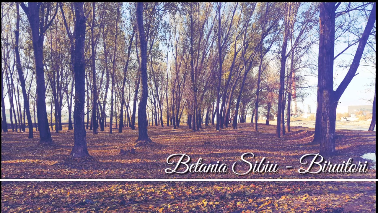 Betania Sibiu - Biruitori