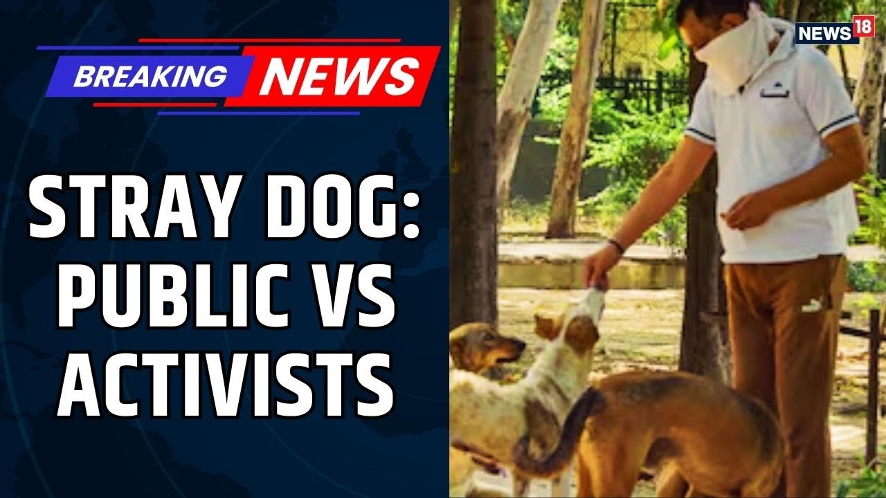 Supreme Court Orders Removal of Stray Dogs from Delhi Streets | Delhi NCR | Stray Dogs of India