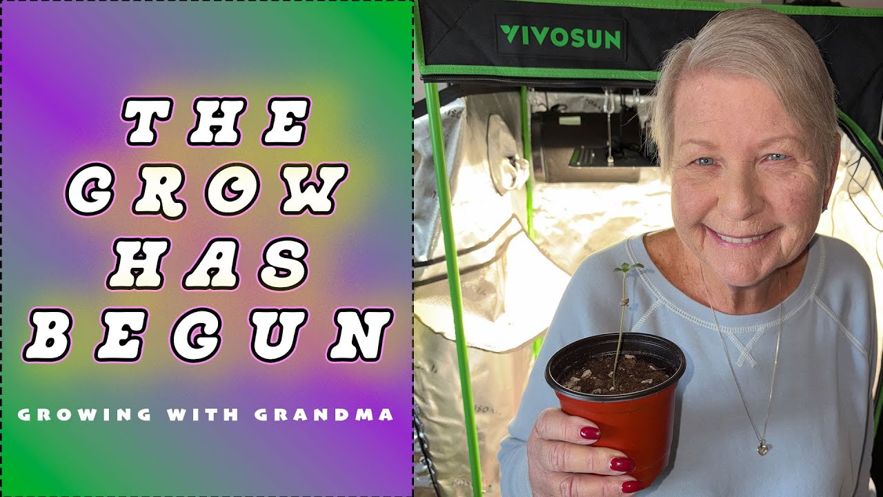 GERMINATING & PLANTING | GROWING WITH GRANDMA