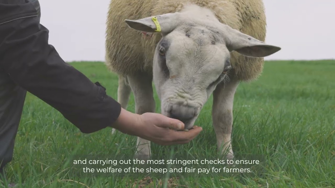 Woolroom Traceability Programme - Wool ID