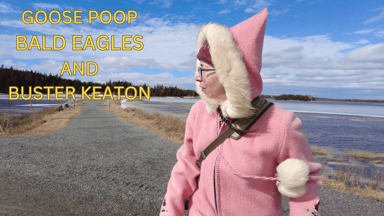 Goose poop, bald eagles, and Buster Keaton. Exploring Lawrencetown Beach.