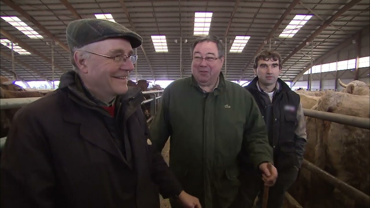 Le bon plan pour payer sa viande moins cher