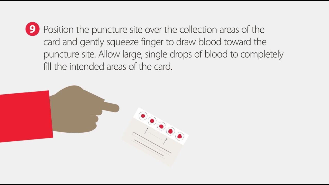 How to Collect a Dried Blood Spot Sample | Step-by-Step Guide