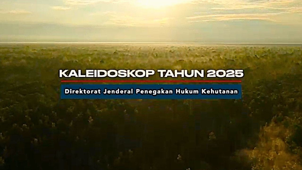 KALEODOSKOP DITJEN GAKKUM KEHUTANAN 2025