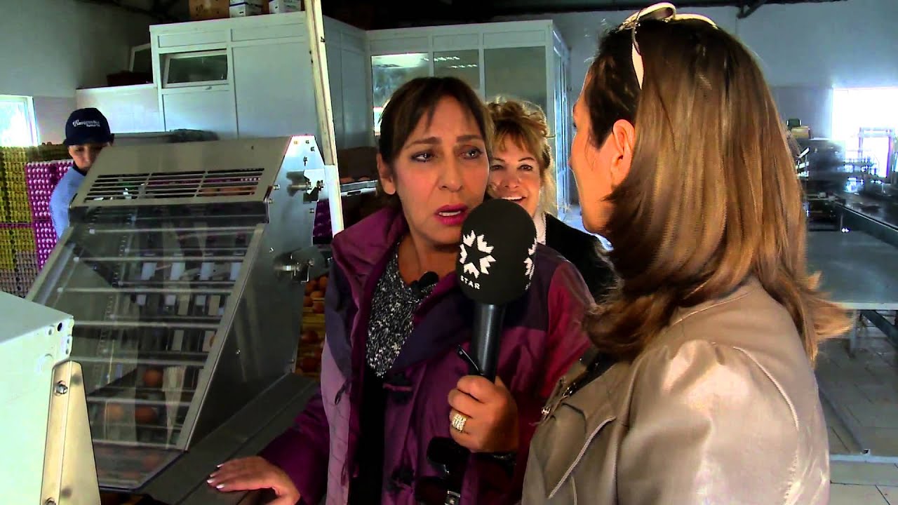 MELEK BAYKAL - SAHRAP SOYSAL (YUMURTA)