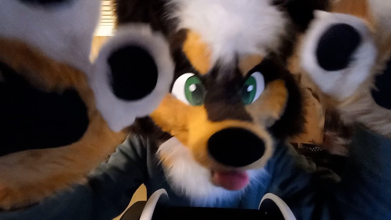 Tappers sleep meds Furry ASMR