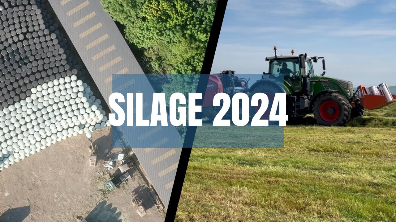 BALES GALORE - ITS SILAGE 24!