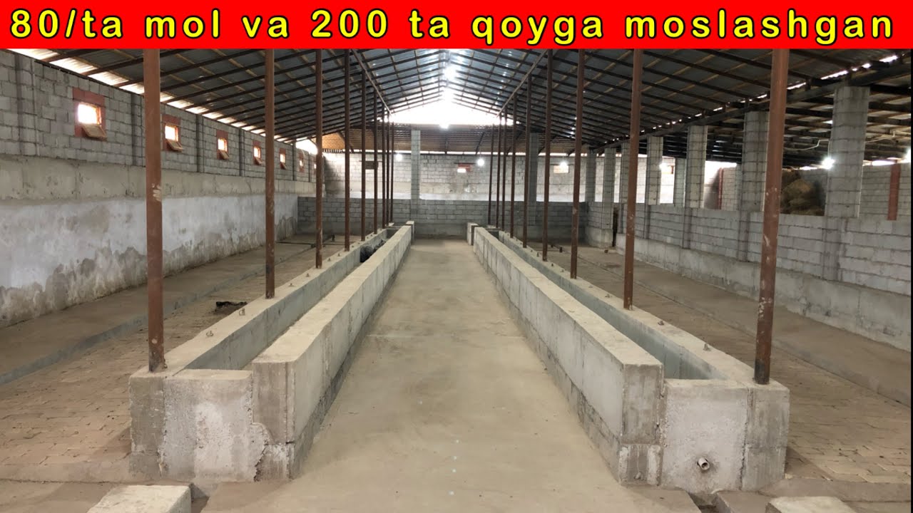 XAMMA QULAYLIKLARGA EGA QOY VA MOL FERMA SOTILADI ☎️ +998 93-731-41-47. ☎️ +998 99-316-47-86