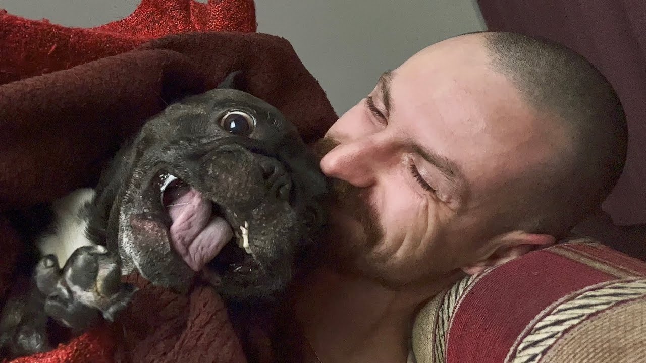 Every pet needs it