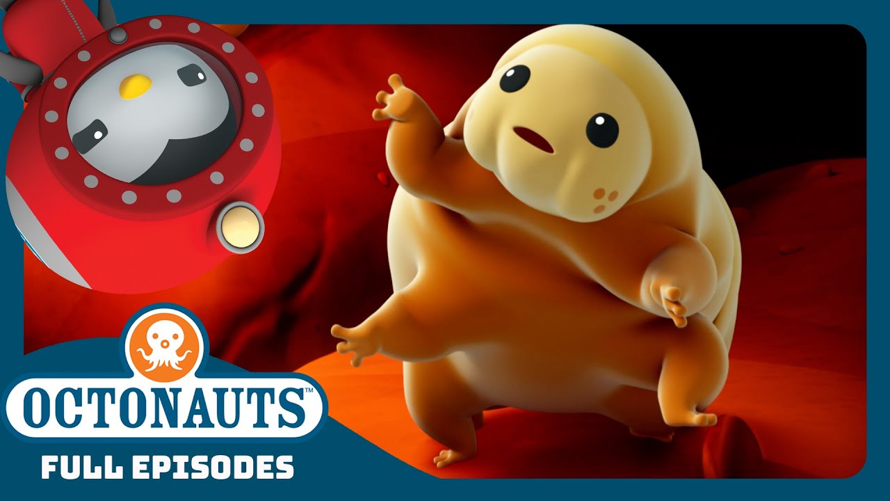 @Octonauts - 🐻 The Teeny Water Bears ⛑️ | Full Episode | Cartoons for Kids