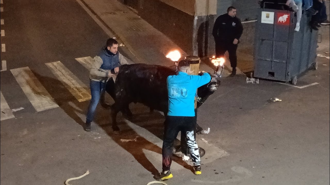 Festejos Taurinos La Pobla de Farnals 2026 | Toro Embolado y  vacas de Lorena Fuertes - Sant Antoni